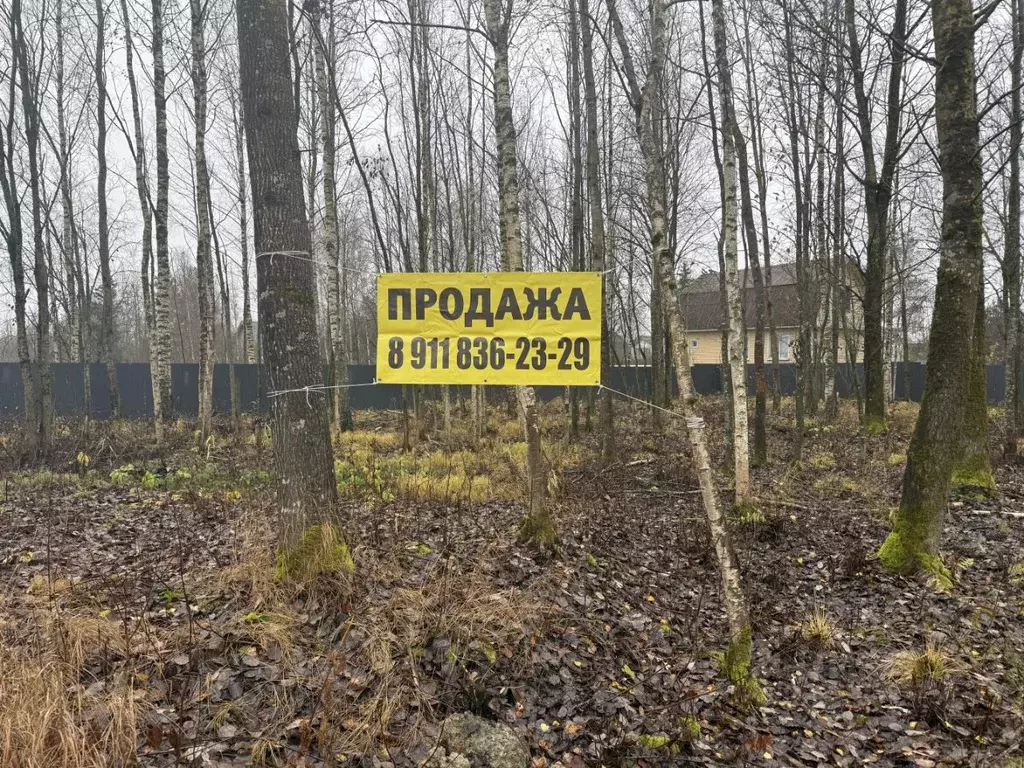 Участок в Санкт-Петербург, Санкт-Петербург, Павловск Павлов Скай кп, ... - Фото 2