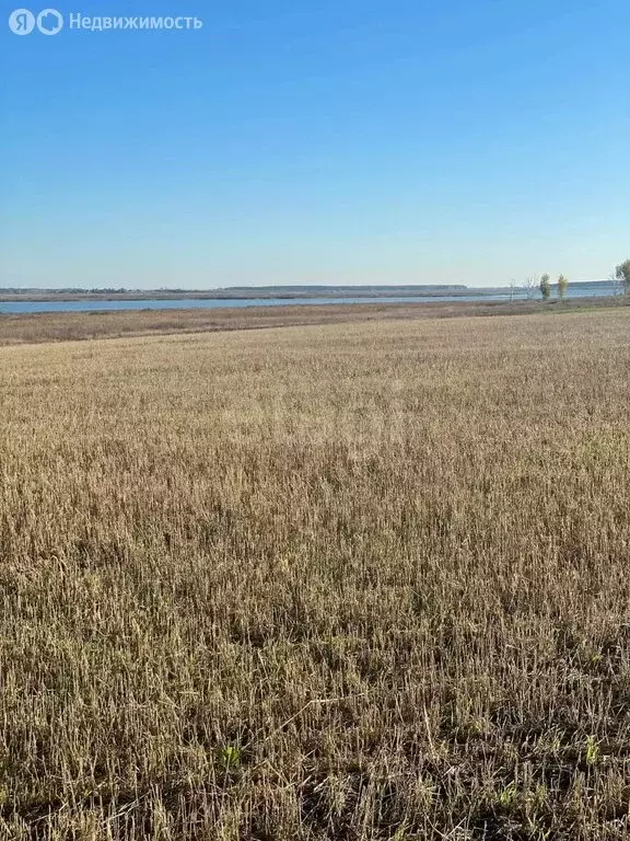 Участок в Саргатский район, село Новотроицк (3.949 м) - Фото 1