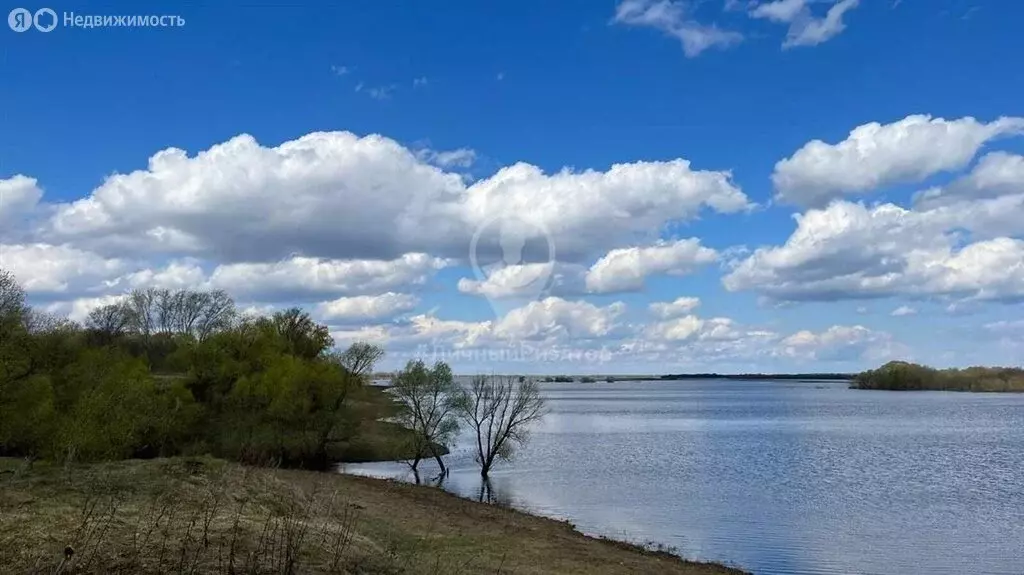 Участок в Рязанский район, Вышгородское сельское поселение, село ... - Фото 0