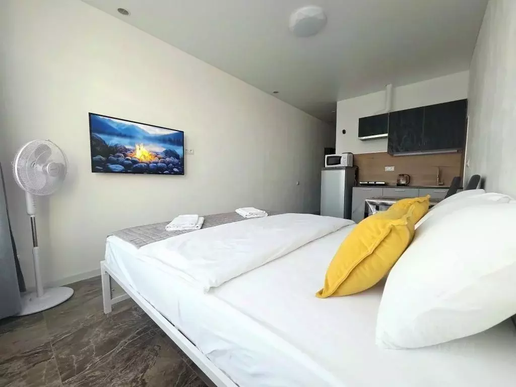 1-к кв. Московская область, Мытищи ул. Колпакова, 44 (23.0 м) - Фото 0