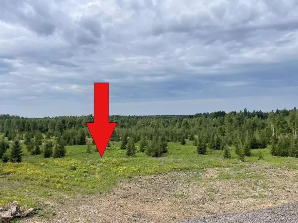 Участок в Московская область, Солнечногорск городской округ, д. ... - Фото 1