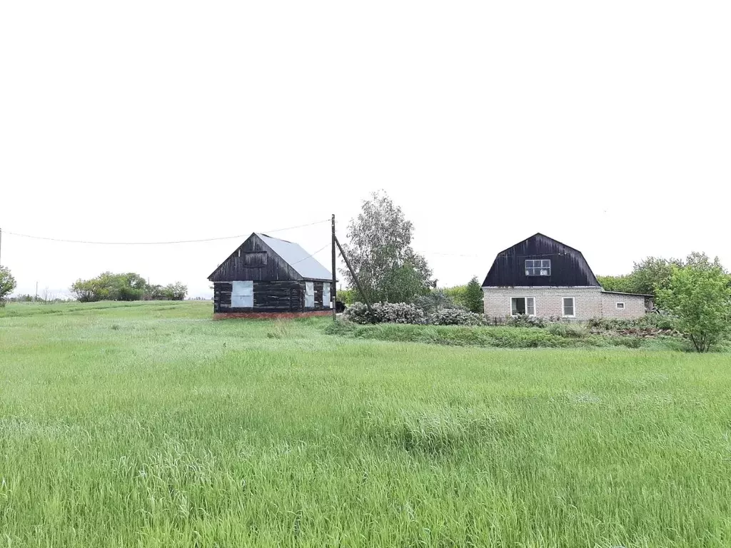 Дом в Алтайский край, Калманский район, с. Калистратиха ул. 70 лет ... - Фото 2