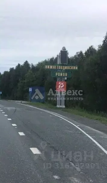 Участок в Тюменская область, Нижнетавдинский район, Лесная сказка СНТ ... - Фото 0