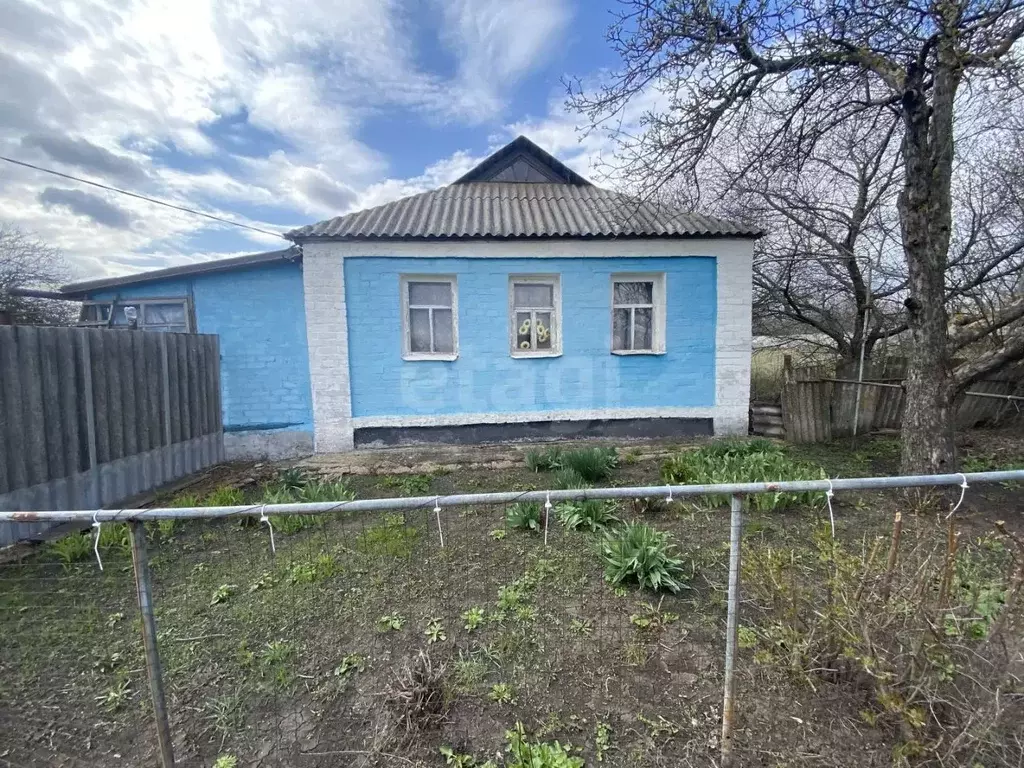 Дом в Белгородская область, Корочанский район, Новослободское с/пос, ... - Фото 2