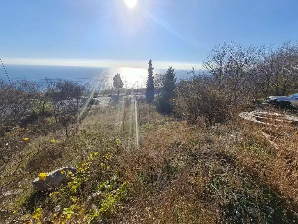 Участок в Крым, Ялта муниципальный округ, Парковое пгт 13 (5.0 сот.) - Фото 1