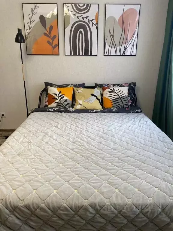 Студия Ленинградская область, Ломоносовский район, Виллозское ... - Фото 1