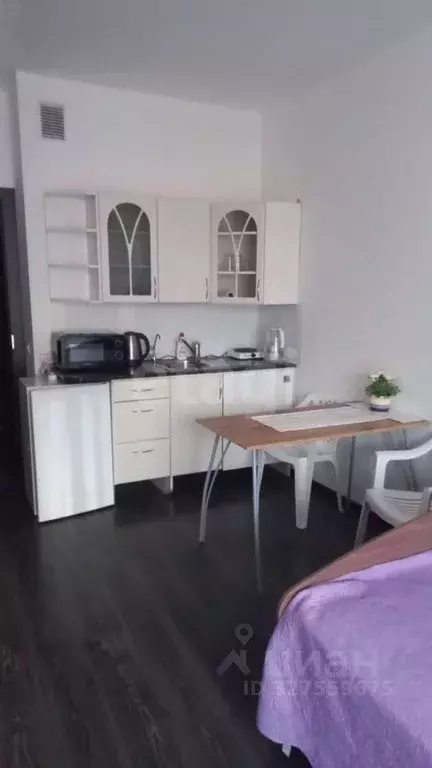 Студия Санкт-Петербург аллея Арцеуловская, 17 (25.0 м) - Фото 1