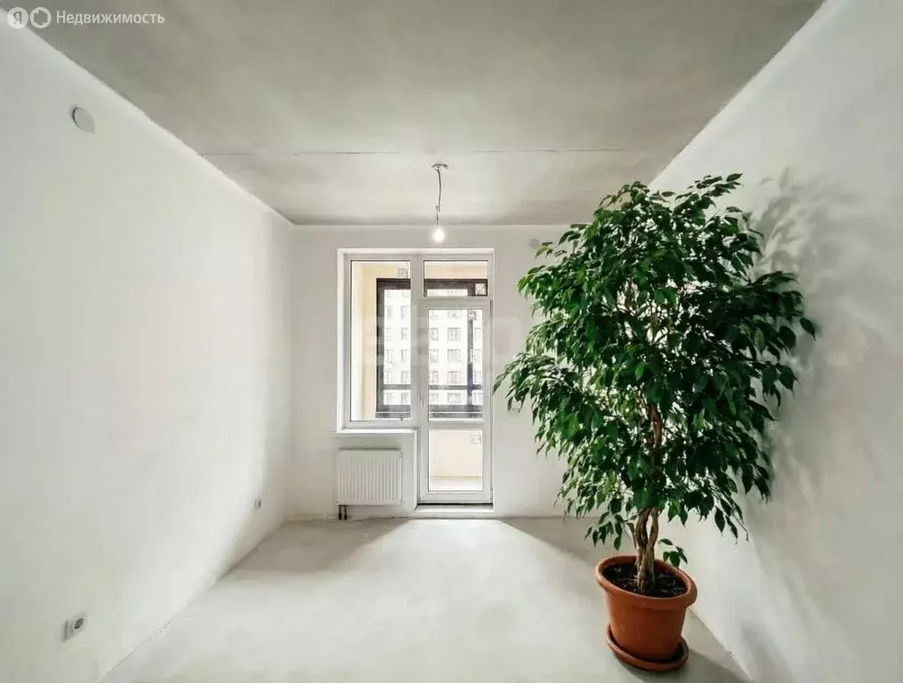 1-комнатная квартира: Санкт-Петербург, Арцеуловская аллея, 9 (32.8 м) - Фото 2