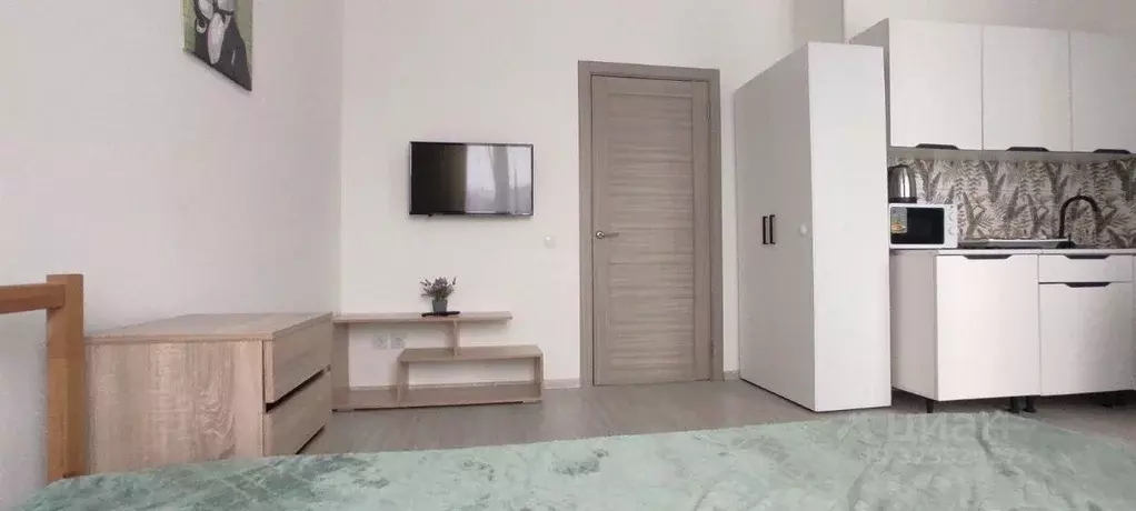 Студия Санкт-Петербург пос. Шушары, просп. Старорусский, 5к1 (21.5 м) - Фото 1