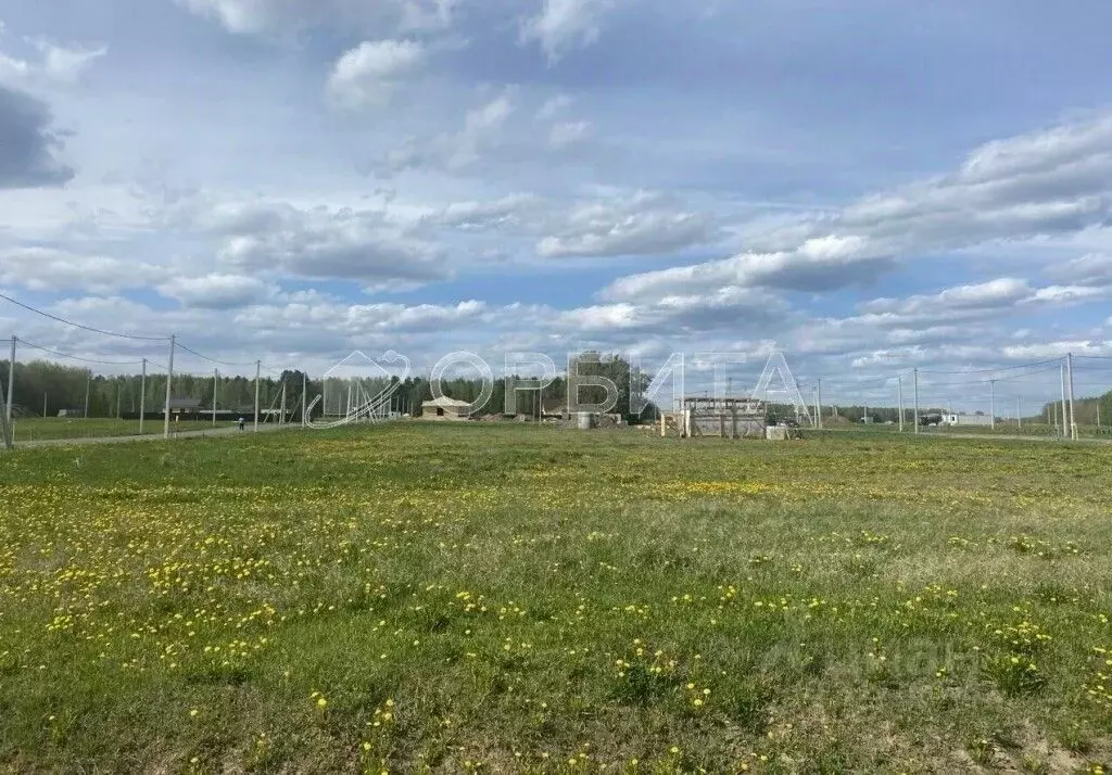 Участок в Тюменская область, Тюменский район, с. Червишево ул. ... - Фото 1