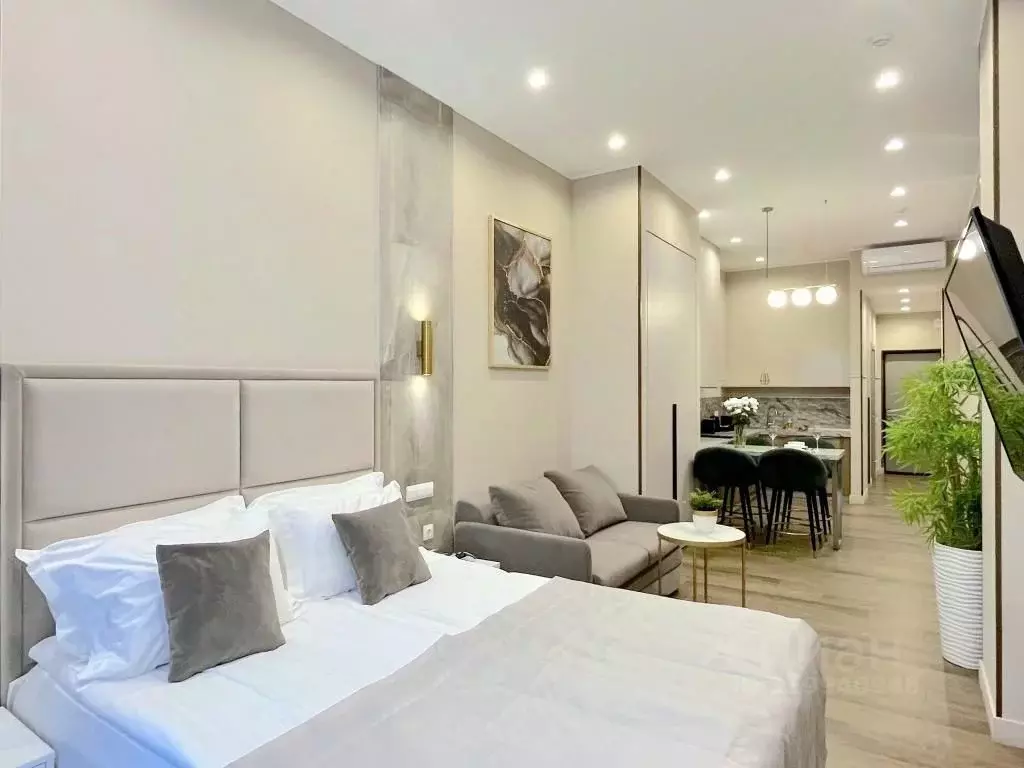 1-к кв. Краснодарский край, Сочи Центральный мкр, ул. Навагинская, ... - Фото 2