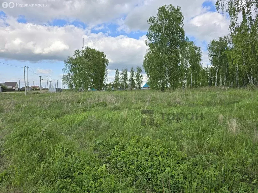 Участок в Сосновский округ, деревня Мамаева, Солнечная улица (10 м) - Фото 0
