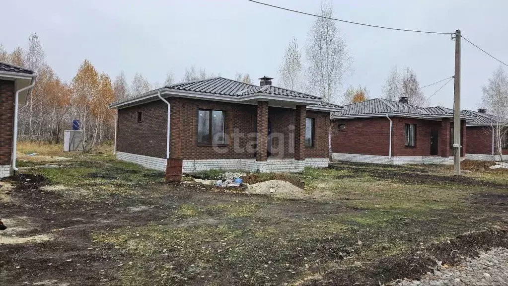 Дом в Воронежская область, с. Новая Усмань ул. Виноградная, 90 (87 м) - Фото 0