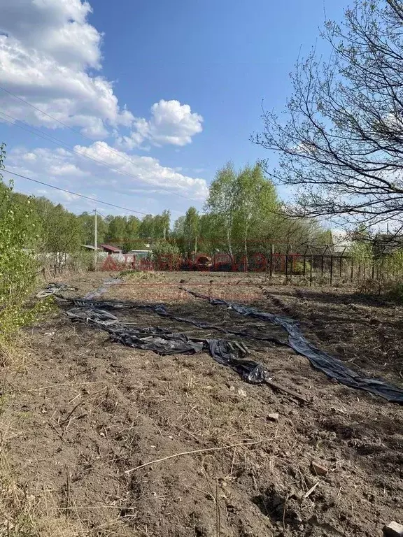 Участок в Новосибирская область, с. Новолуговое ул. Центральная (5.0 ... - Фото 1