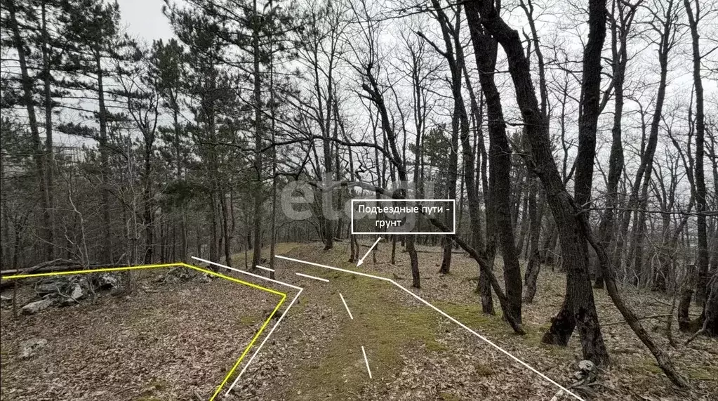 Участок в Крым, Ялта муниципальный округ, Виноградное пгт  (15.0 сот.) - Фото 2