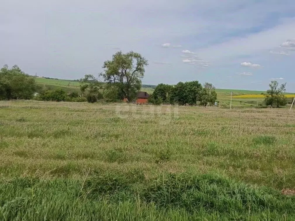 Участок в Тульская область, Новомосковск городской округ, д. Пушкари  ... - Фото 0