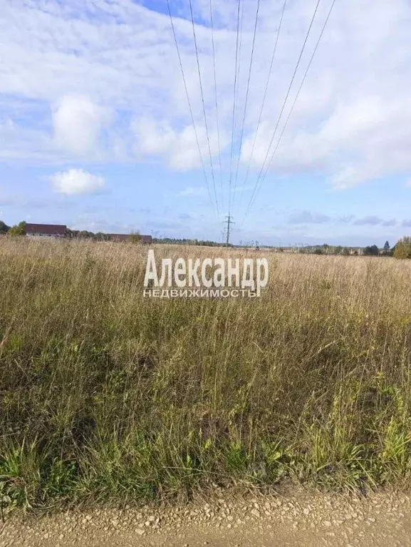 Участок в Ленинградская область, Ломоносовский район, Лопухинское ... - Фото 1