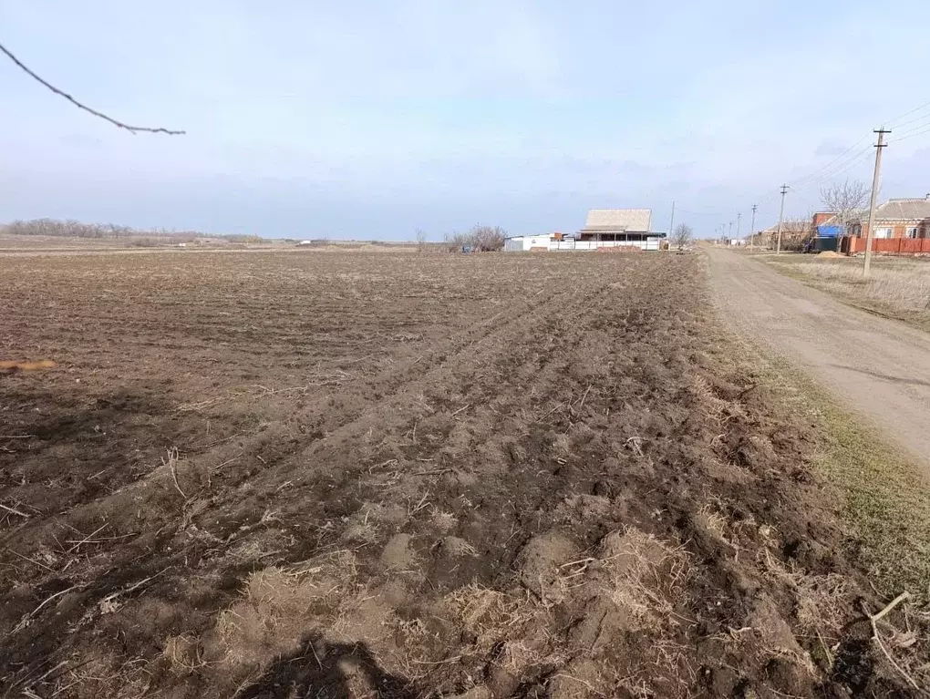 Участок в Краснодарский край, Щербиновское с/пос, пос. Щербиновский ... - Фото 0