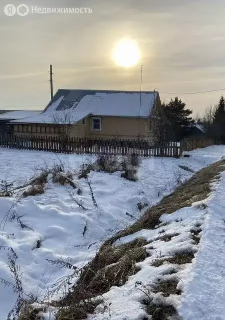 Участок в Вологодский муниципальный округ, деревня Палагино (23 м) - Фото 0