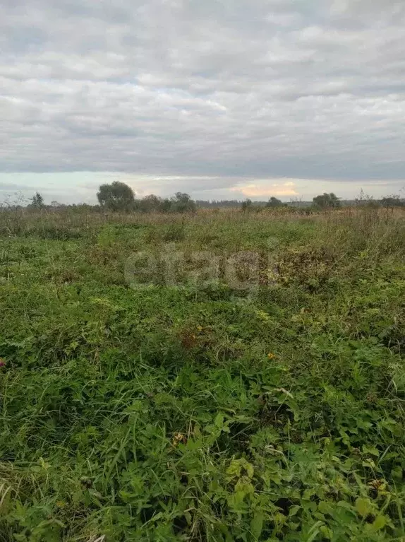 Участок в Псковская область, Порховский муниципальный округ, д. ... - Фото 1