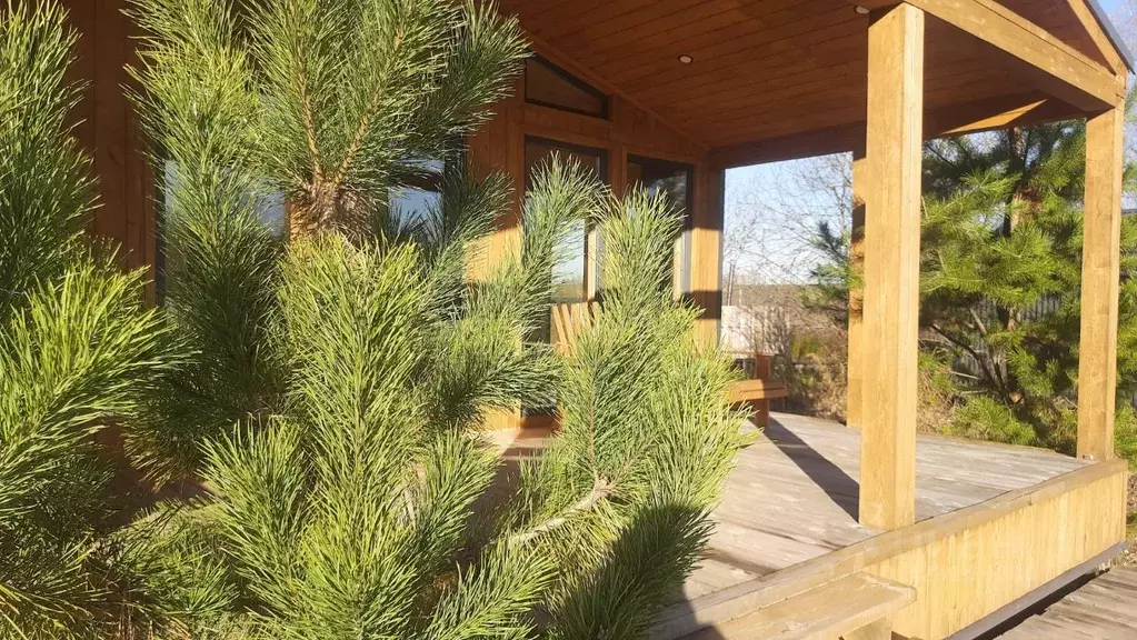 Дом в Удмуртия, Завьяловский район, Соловушки ДНТ ул. Прохладная, 6 ... - Фото 2