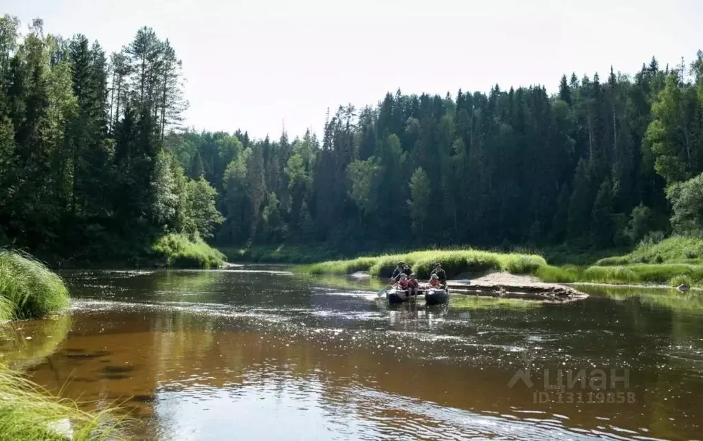 Участок в Вологодская область, Тарногский муниципальный округ, д. ... - Фото 0