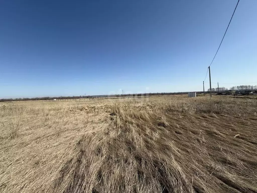 Участок в Ульяновская область, Ульяновск городской округ, с. Луговое ... - Фото 1