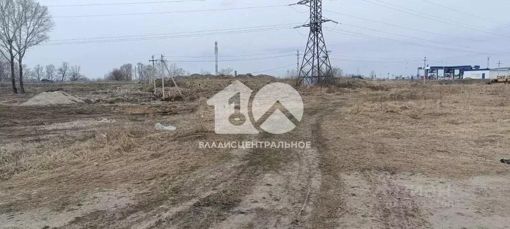 Участок в Новосибирская область, Новосибирский район, Кудряшовский дп ... - Фото 0