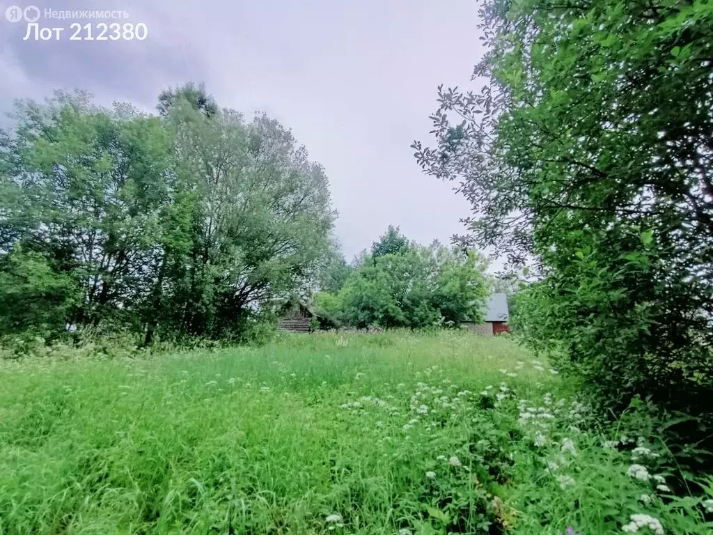 Участок в село Трубино, 99 (8 м) - Фото 2