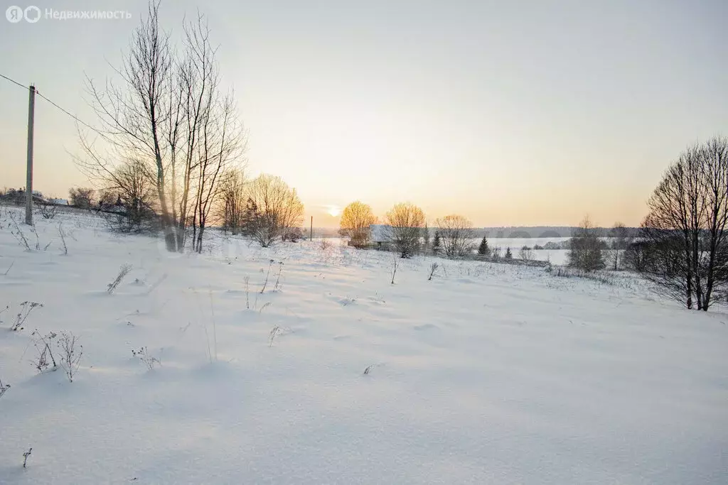 Участок в деревня Дуброво (15.99 м) - Фото 1