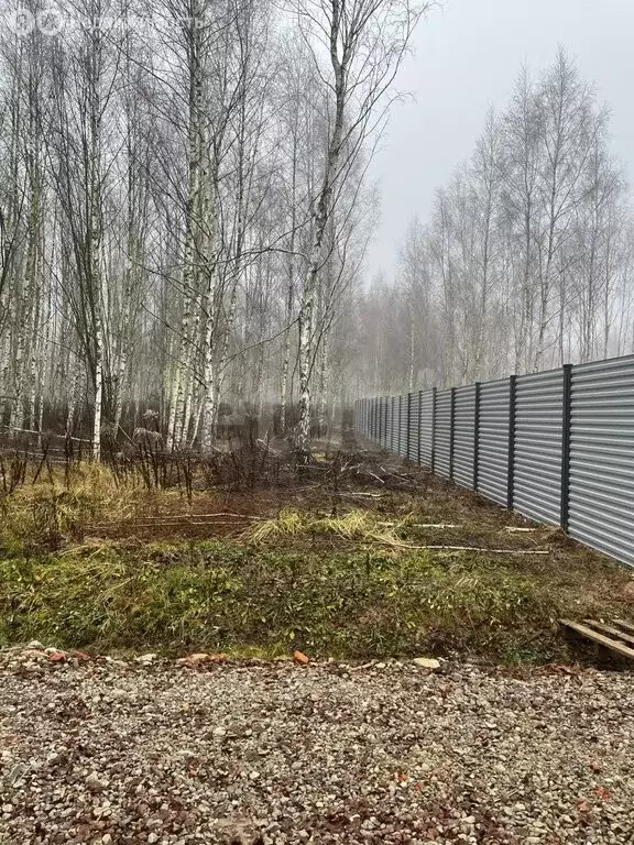 Участок в село Дубна, Каргашиновская улица (8 м) - Фото 2