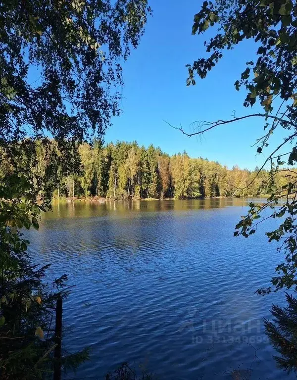 Участок в Московская область, Сергиево-Посадский городской округ, с. ... - Фото 1