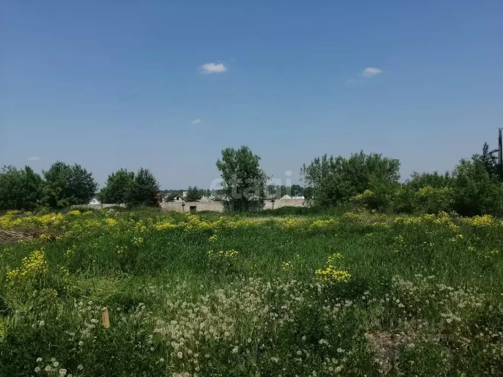 Участок в Кемеровская область, Кемерово Пионер жилрайон,  (7.1 сот.) - Фото 1