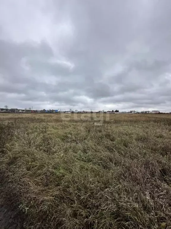 Участок в Калужская область, Дзержинский район, Дворцы с/пос, д. ... - Фото 2
