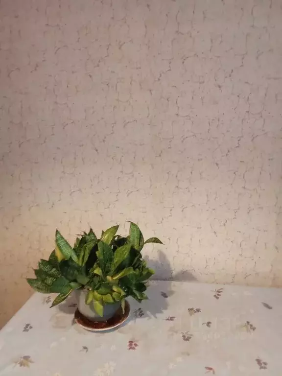 1-к кв. Москва Керамический проезд, 55К1 (45.0 м) - Фото 2