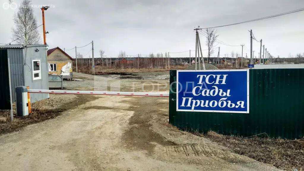 Участок в Кубовинский сельсовет, СНТ Сады Приобья, 2-я улица, 3 (6 м) - Фото 0