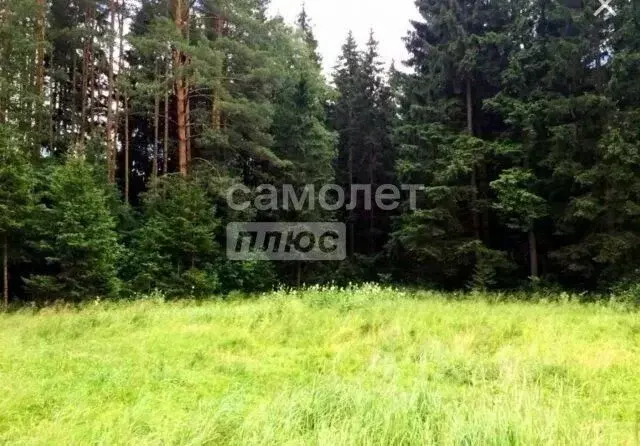 Участок в Бурятия, Кабанский район, пос. Речка Выдрино  (10.0 сот.) - Фото 1