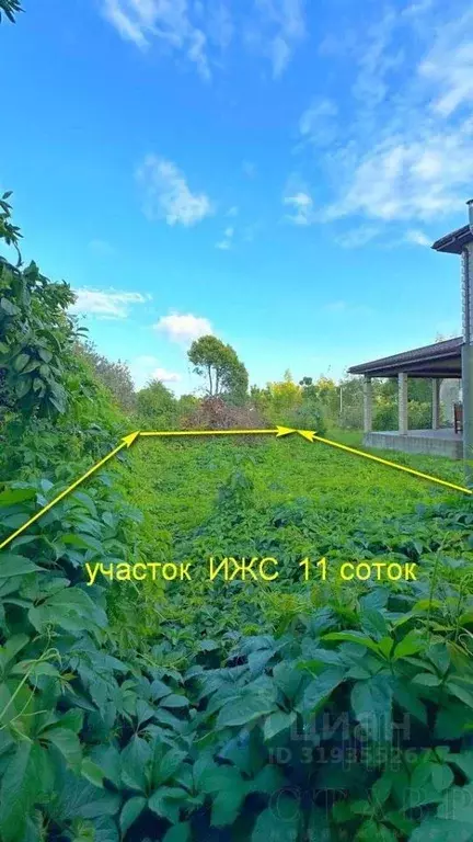 Участок в Краснодарский край, Сочи Костромская ул., 32 (11.0 сот.) - Фото 1