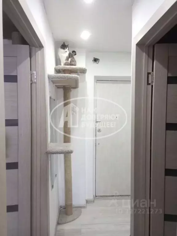 1-к кв. Удмуртия, Глазов ул. 70 лет Октября, 6 (31.5 м) - Фото 1