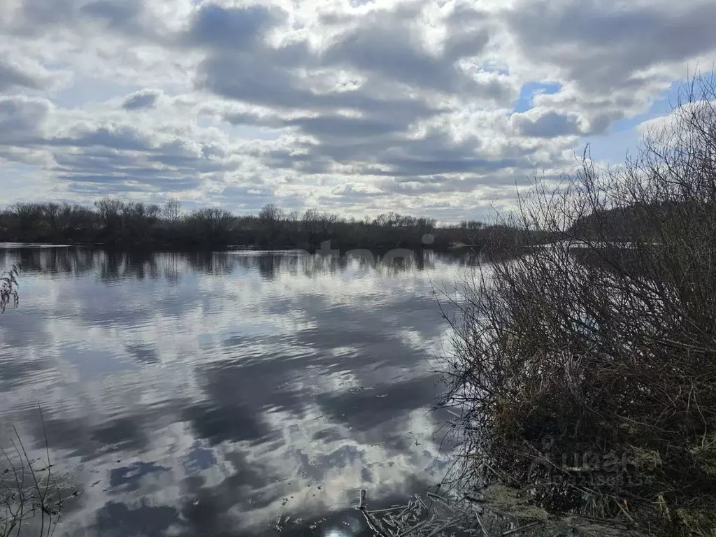 Дом в Псковская область, Островская волость, д. Городище ул. ... - Фото 1