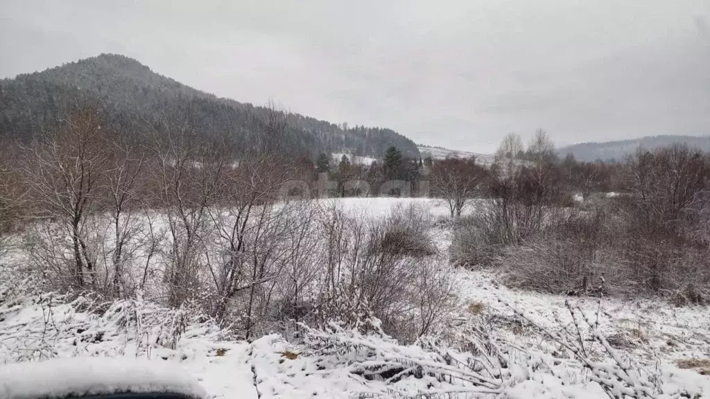 Участок в Алтай, Майминский район, с. Кызыл-Озек  (3735.0 сот.) - Фото 1