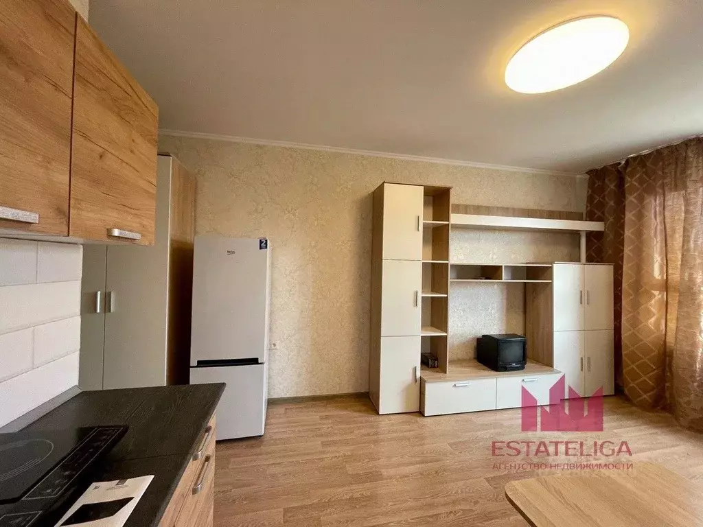 Студия Московская область, Ленинский городской округ, Лопатино пгт ул. ... - Фото 2