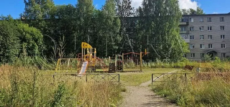 3-к кв. Ленинградская область, Подпорожье ул. Волкова, 35 (59.4 м) - Фото 2