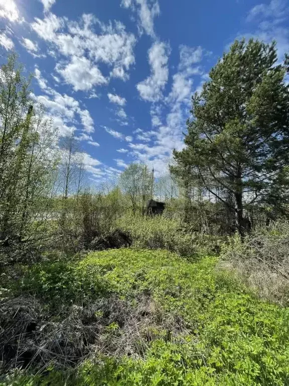 Участок в Архангельская область, Котлас Малодвинская ул., 1/1 (964.0 ... - Фото 1