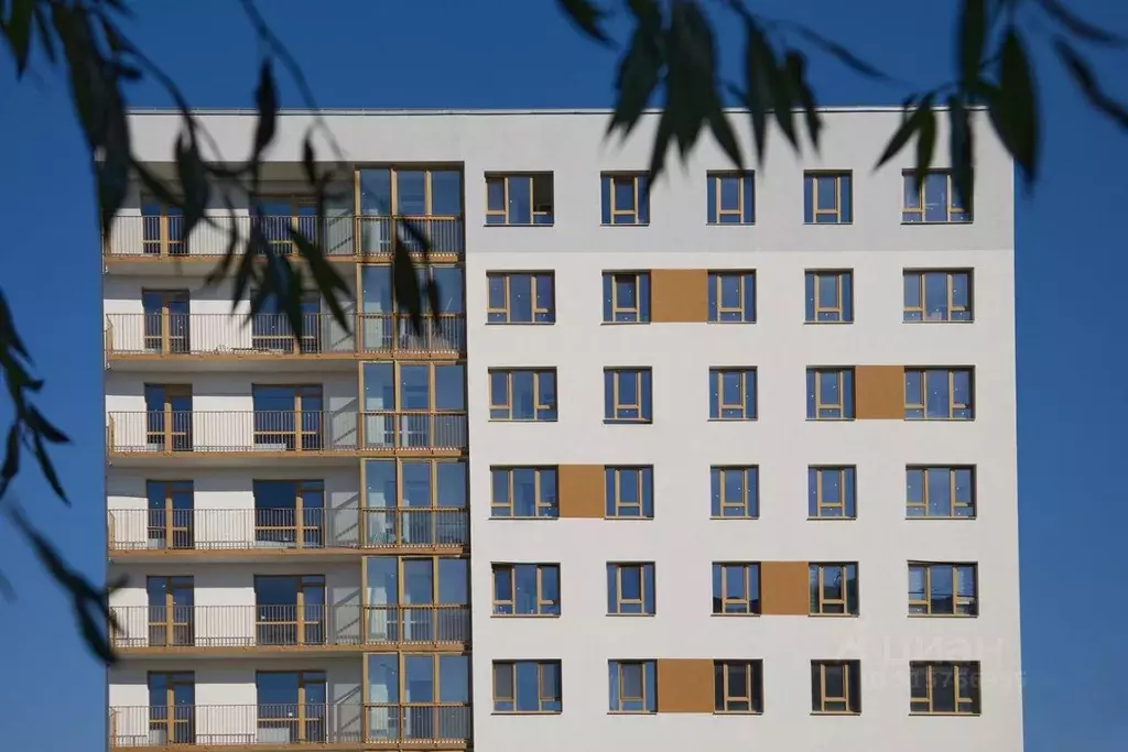 2-к кв. Курганская область, Курган Центральный жилрайон,  (63.47 м) - Фото 2