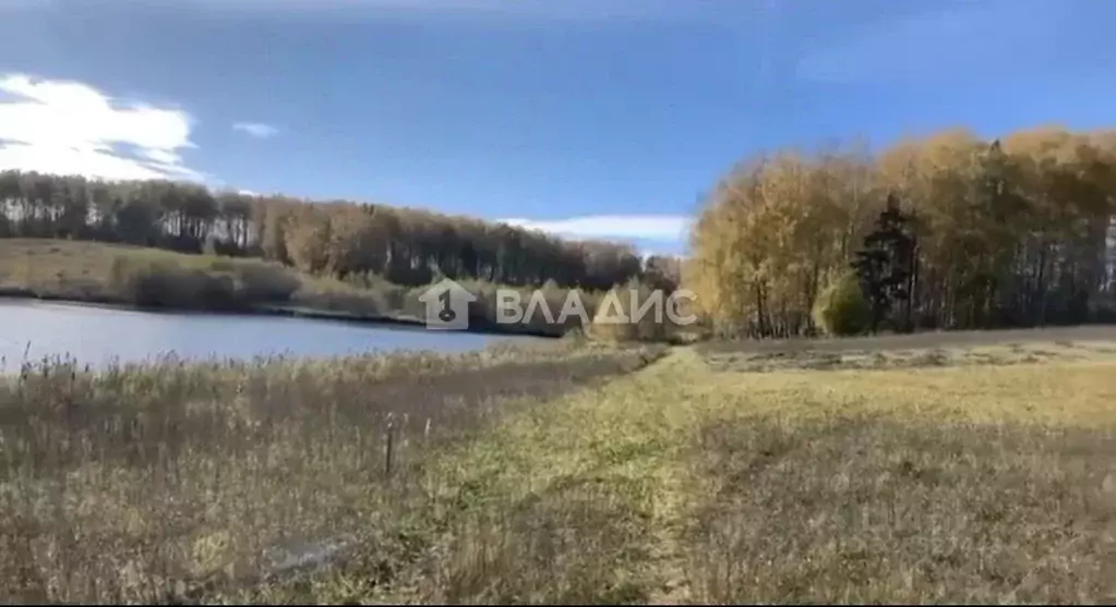 Участок в Нижегородская область, Богородский муниципальный округ, с. ... - Фото 1
