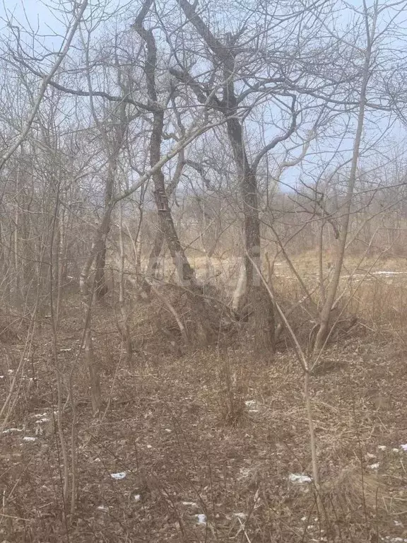 Участок в Приморский край, Владивостокский городской округ, с. ... - Фото 0