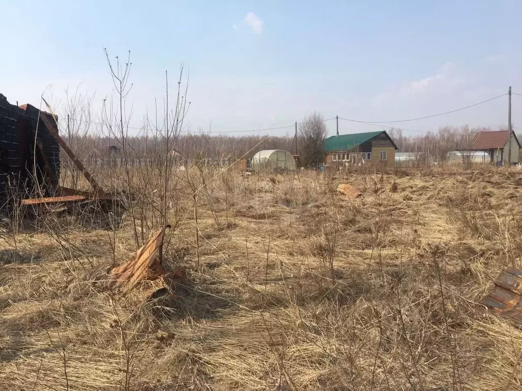 Участок в Еврейская автономная область, Смидовичский район, Минерал ... - Фото 2
