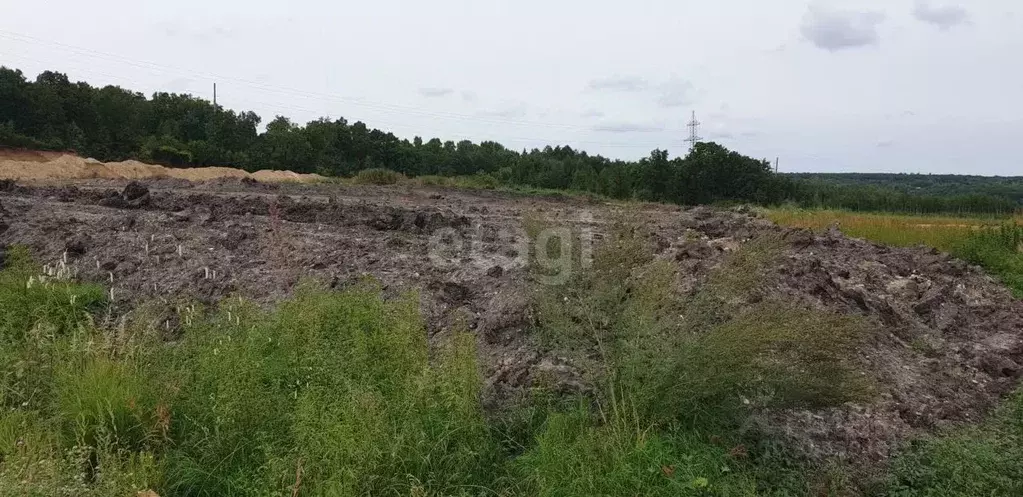 Участок в Амурская область, Благовещенский район, с. Чигири  (8.0 ... - Фото 1