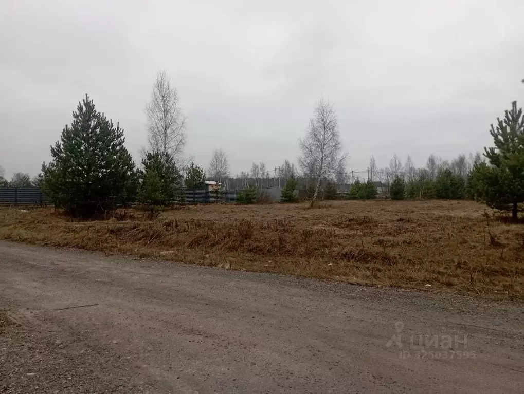 Участок в Московская область, Щелково городской округ, д. Малые ... - Фото 2